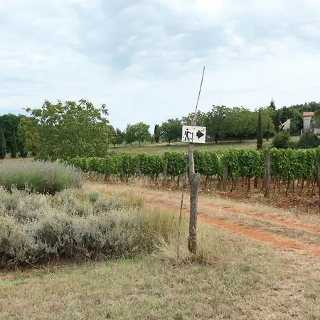 Apartman Star Tar-Vabriga