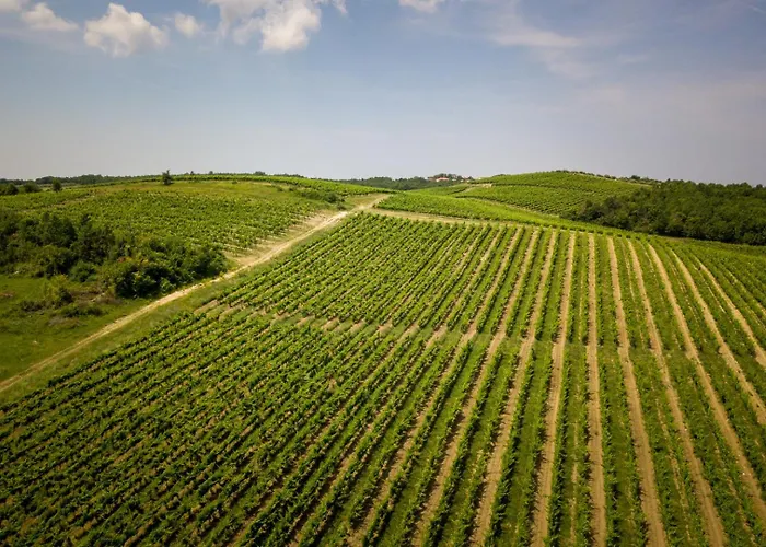 Lägenhet Star Tar-Vabriga