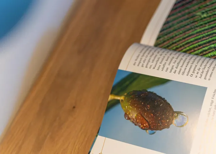 Star Apartman Tar-Vabriga