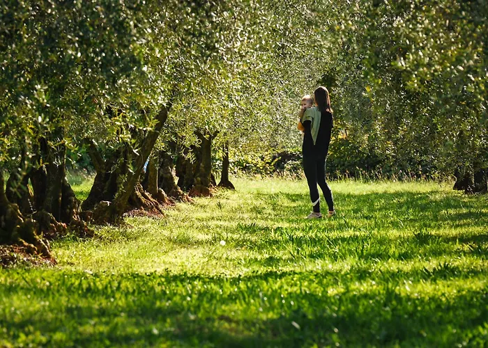 Star Lägenhet Tar-Vabriga