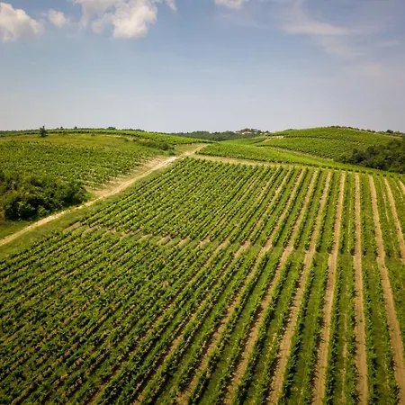 Apartment Star Tar-Vabriga