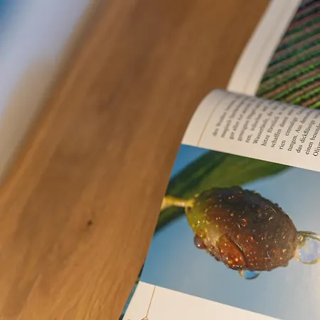 Star 公寓 Tar-Vabriga