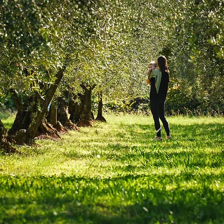 Star Apartment Tar-Vabriga