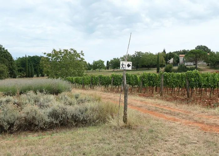 Lejlighed Star Tar-Vabriga